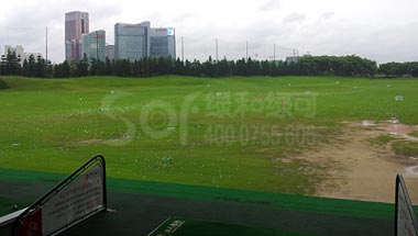 深圳沙河高尔夫球会木塑地板