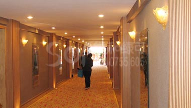 西藏明珠酒店绿可木墙板