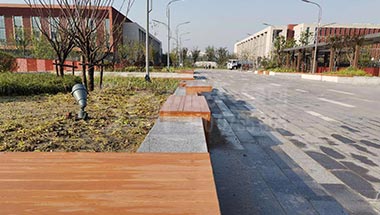 扬州市邗江新建中学纳米碳化木项目