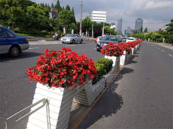 仿木道路花箱案例 (2)