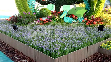 深圳会展中心IBC2017塑木花坛栅栏