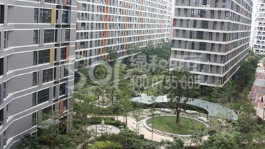 深圳金地梅陇镇绿可木格栅绿可木吊顶