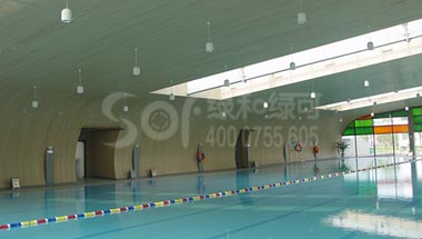 山东济宁市体育馆绿可木吊顶墙板