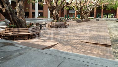 台湾高雄中山大学碳化木地板