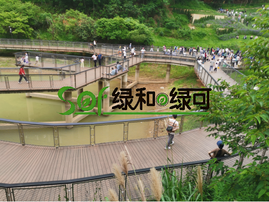 深圳南湾郊野公园竹木栈道工程项目案例