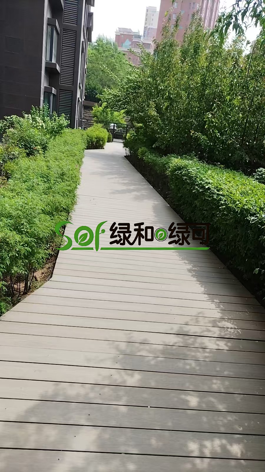 微信图片_20260515111022_2674_13