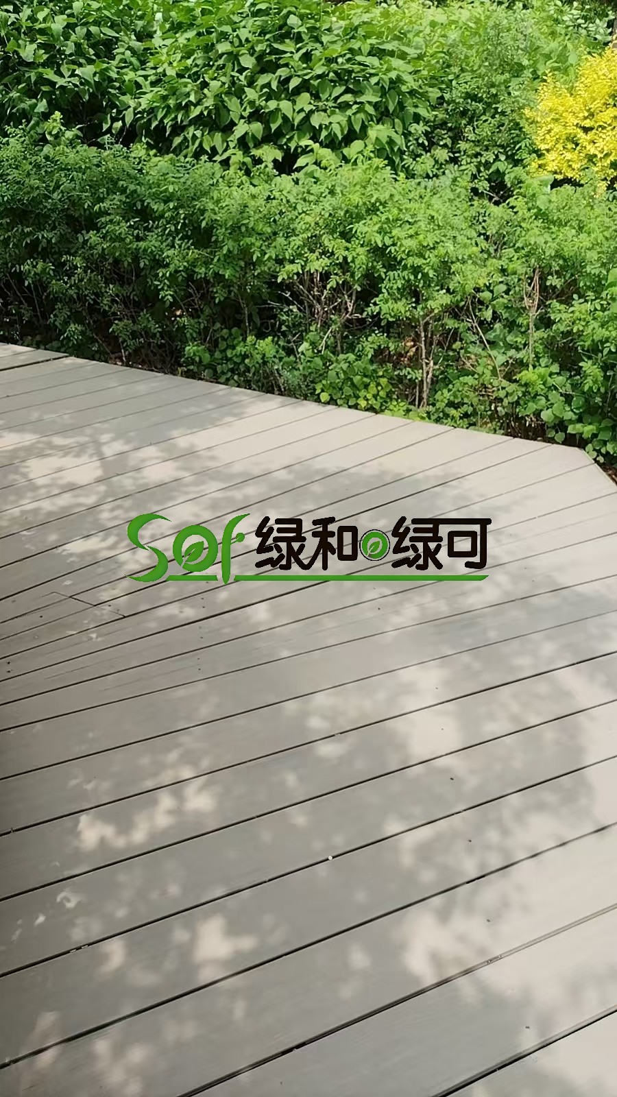 微信图片_20260515111029_2675_13
